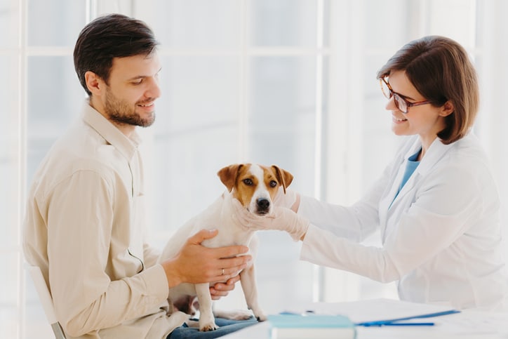 IT Services For Veterinary Clinics and Animal Hospitals In Dallas