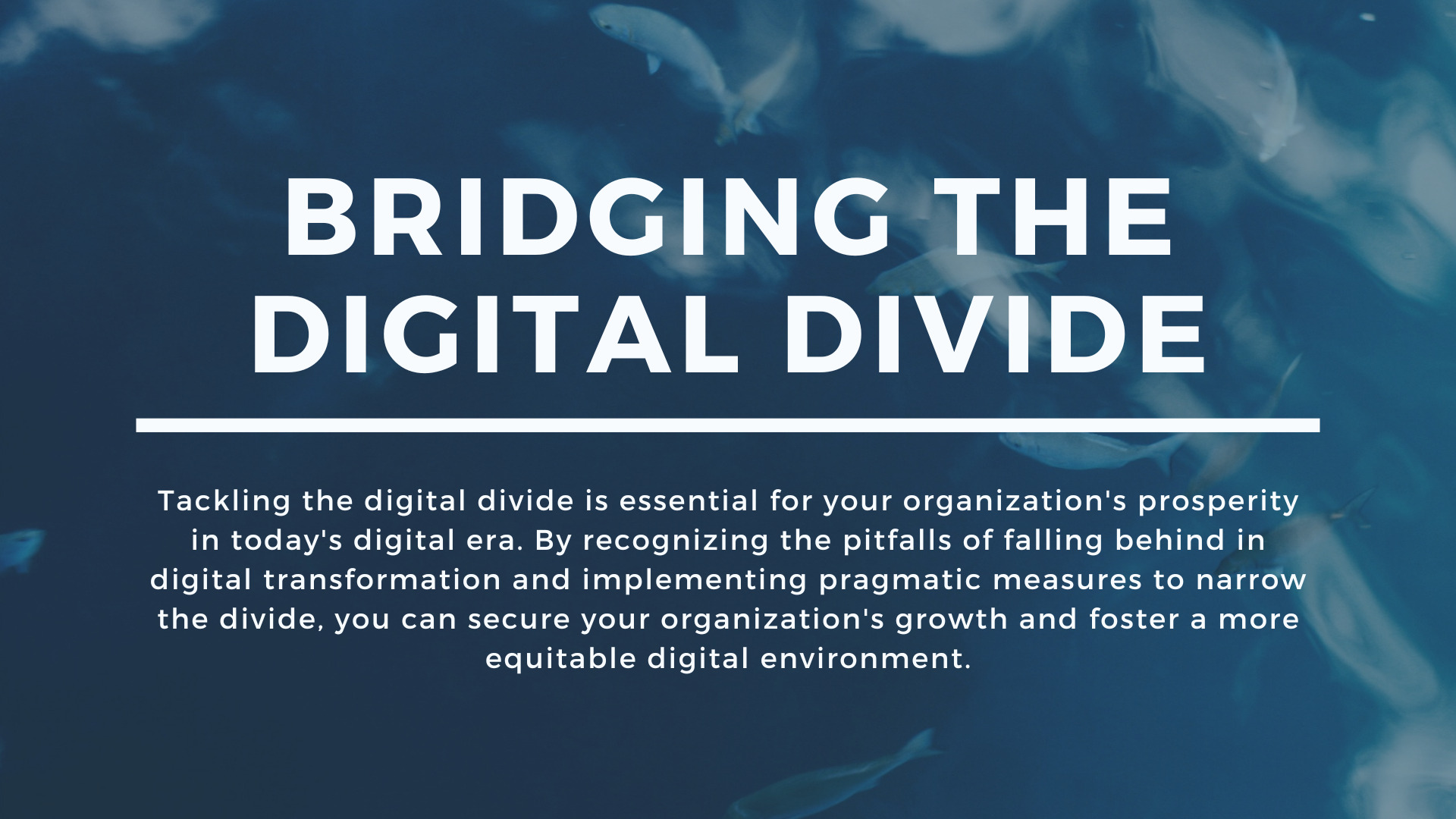 Bridging the Digital Divide in Dallas